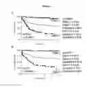Fig. 02 - Diagnostic test for predicting metastasis and recurrence in cutaneous melanoma