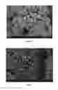 Fig. 02 - Metal oxide particles and method of producing thereof