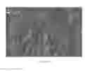 Fig. 16 - Articles coated with fluoro-annealed films