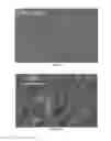 Fig. 17 - Articles coated with fluoro-annealed films