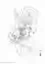 Fig. 02 - Motorcycle