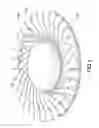 Fig. 02 - Fan impeller with metallic blades and method for manufacturing the same