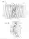 Fig. 02 - Recirculation crossover insert and linear motion assembly therewith