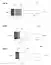 Fig. 07 - Speed loader for black powder arms and related methods