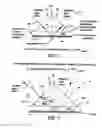 Fig. 02 - Method to enhance sensitivity to surface normal optical functions of anisotropic films using attenuated total reflection