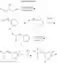 Fig. 16 - SCREENING METHOD FOR SELECTED AMINO-LIPID-CONTAINING COMPOSITIONS