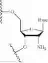 Fig. 28 - SCREENING METHOD FOR SELECTED AMINO-LIPID-CONTAINING COMPOSITIONS