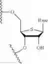 Fig. 30 - SCREENING METHOD FOR SELECTED AMINO-LIPID-CONTAINING COMPOSITIONS