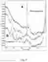 Fig. 06 - Sample preparation for spectroscopy analysis