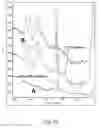 Fig. 08 - Sample preparation for spectroscopy analysis