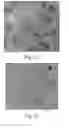 Fig. 09 - Sample preparation for spectroscopy analysis