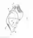 Fig. 07 - Illuminating magnifier apparatus