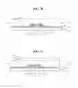 Fig. 07 - DISPLAY DEVICE AND METHOD OF MANUFACTURING THE SAME