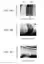 Fig. 09 - Wafer lithography equipment