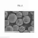 Fig. 03 - Developing roller, toner and image forming apparatus