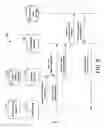 Fig. 06 - Filtering Product Reviews Based on Physical Attributes