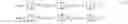 Fig. 02 - Image processing apparatus, image processing system, image processing method, and non-transitory computer readable medium for varied luminance adjustment in different image regions