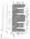 Fig. 46 - Semiconductor device