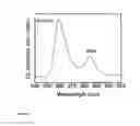 Fig. 07 - Ultraviolet light emitting devices and methods of fabrication