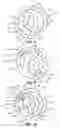 Fig. 04 - Press-fit pin for semiconductor packages and related methods