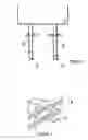 Fig. 02 - Receptacle assembly of NEMA plugs