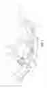 Fig. 02 - Starter-generator brush