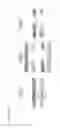 Fig. 33 - Apparatus and method for sending and receiving broadcast signals