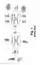 Fig. 02 - Wireless communication system