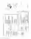 Fig. 07 - Building or enhancing a relationship between users of a communications network