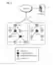 Fig. 03 - Dynamic packet relay apparatus and method for sensor network