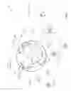 Fig. 07 - Satellite beam power backoff