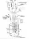 Fig. 35 - Microfluidic embryo and gamete culture systems
