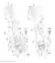 Fig. 02 - Oral care implement
