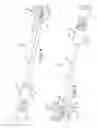 Fig. 06 - Multiple purpose surgical instruments