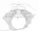 Fig. 01 - Surgical implant