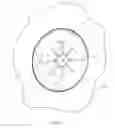 Fig. 07 - Back Brace
