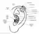 Fig. 01 - User interface method and system for ear stimulation