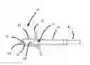Fig. 01 - Oral syringe with inclined guard