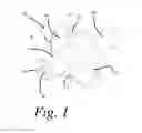 Fig. 02 - Oral syringe with inclined guard