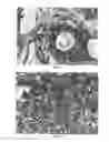 Fig. 07 - Compositions and methods for the removal of tattoos