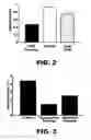 Fig. 03 - Prodrug compositions, prodrug nanoparticles, and methods of use thereof