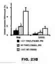 Fig. 28 - Prodrug compositions, prodrug nanoparticles, and methods of use thereof