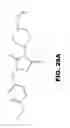 Fig. 32 - Prodrug compositions, prodrug nanoparticles, and methods of use thereof