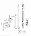 Fig. 37 - Prodrug compositions, prodrug nanoparticles, and methods of use thereof