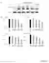 Fig. 09 - COMPOSITIONS AND METHODS FOR TREATING BONE DISEASES