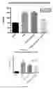 Fig. 11 - Compositions and methods for increasing energy metabolism