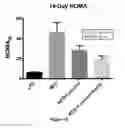 Fig. 12 - Compositions and methods for increasing energy metabolism