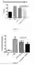 Fig. 15 - Compositions and methods for increasing energy metabolism