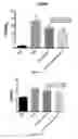 Fig. 16 - Compositions and methods for increasing energy metabolism