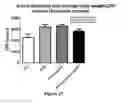 Fig. 17 - Compositions and methods for increasing energy metabolism